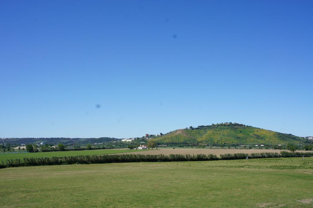 Quinta Das Arribas Abrantes Exteriör bild